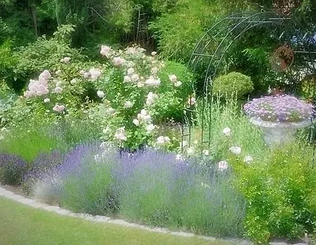 Monteurzimmer Im Rosengarten