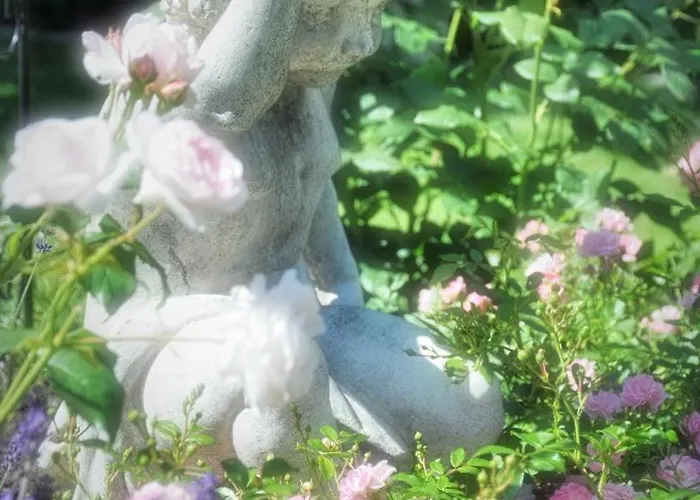 Monteurzimmer Im Rosengarten בית אירוח