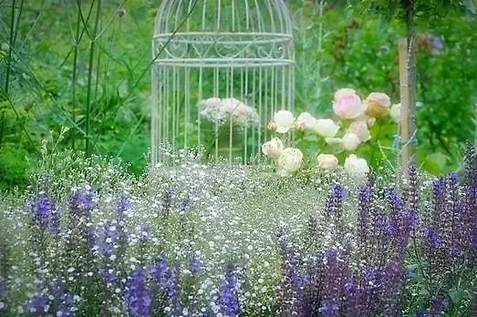 בית אירוח Monteurzimmer Im Rosengarten *